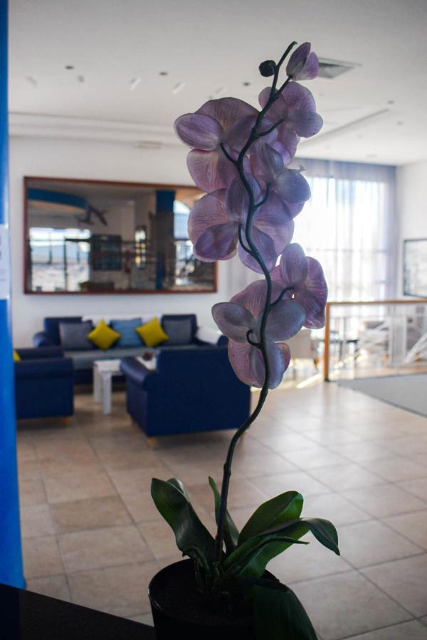 Auberge Oualidia Dream Zewnętrze zdjęcie