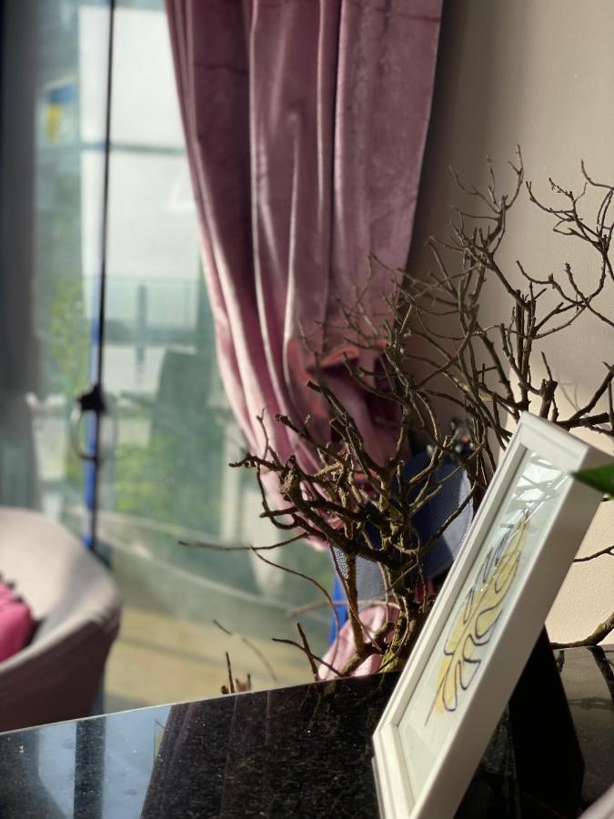 Auberge Oualidia Dream Zewnętrze zdjęcie